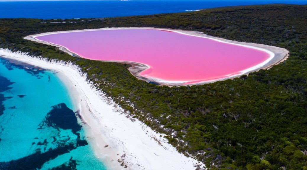 Exploring the Magic of Australia's Pink Lakes | Transfercar